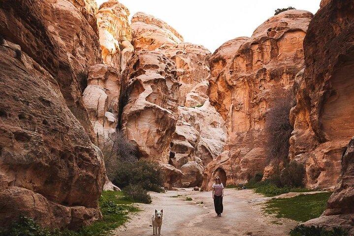 3-Hour 4x4 Safari in Little Petra