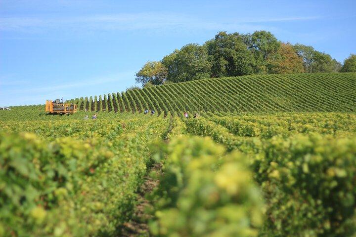 Full Rioja Wine Tour with Lunch – Private Tour from San Sebastian