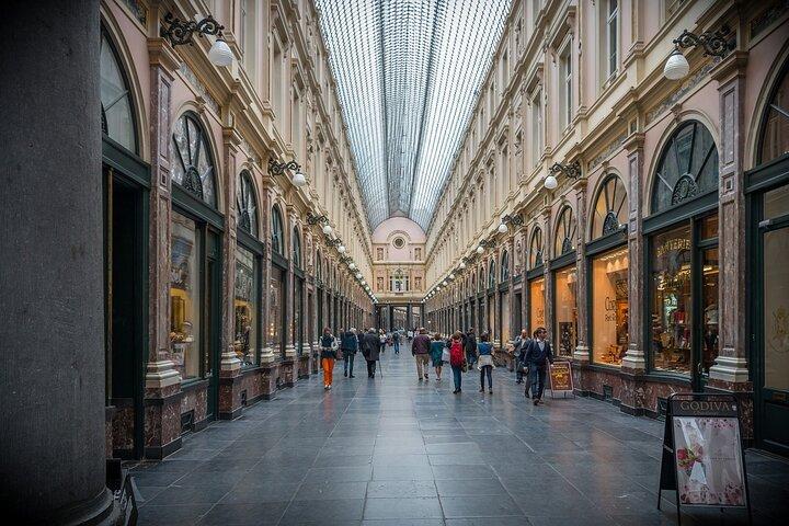 Brussels : Private Walking Tour with A Guide (Private Tour)