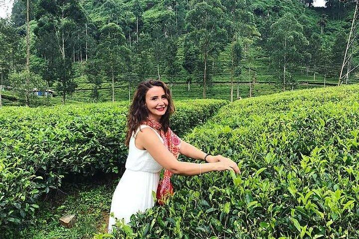 Private Nuwara Eliya City Tour Including Main Attractions