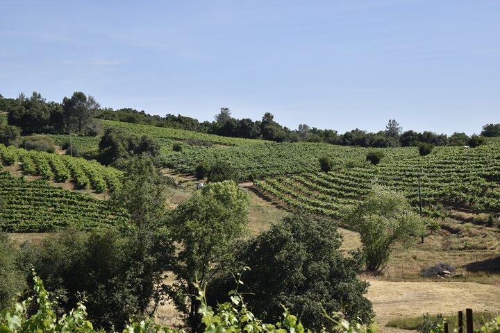 Apple Hill Wine Tasting Tours And Placerville wine tasting tours