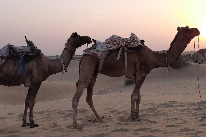 Off the beaten track overnight Camel Safari Tour Jaisalmer