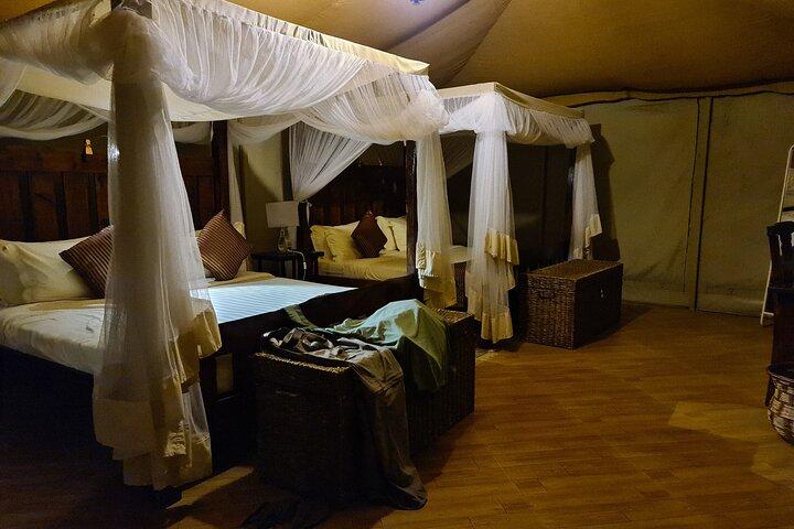 5 Days Safari Lodges & Culture