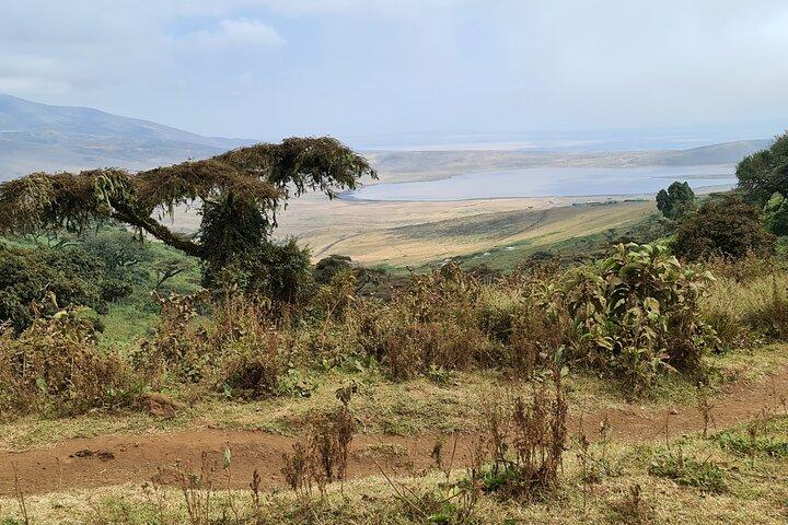 5 Days Safari Lodges & Culture