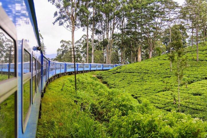 Private Nuwara Eliya Day Trip from Colombo – All Inclusive