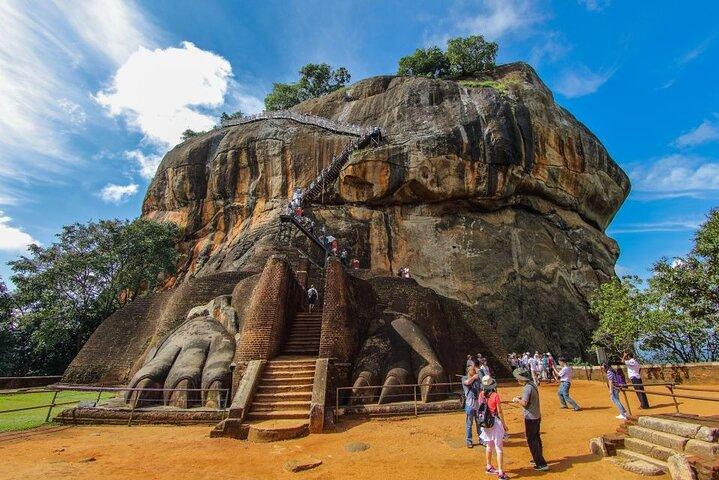 Sigiriya, Dambulla & Jungle Safari: Budget Tour from Colombo