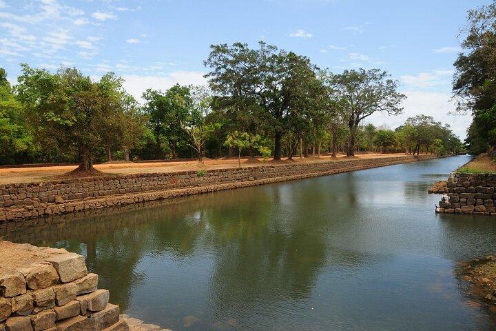 Sigiriya, Dambulla & Jungle Safari: Budget Tour from Colombo