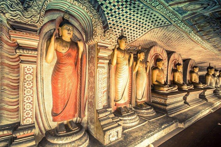 Sigiriya, Dambulla & Jungle Safari: Budget Tour from Colombo