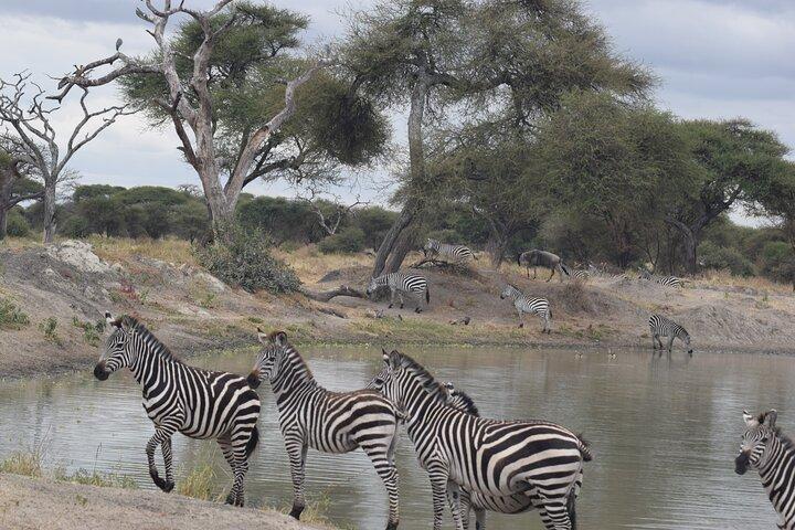 5 Days Safari Lodges & Culture