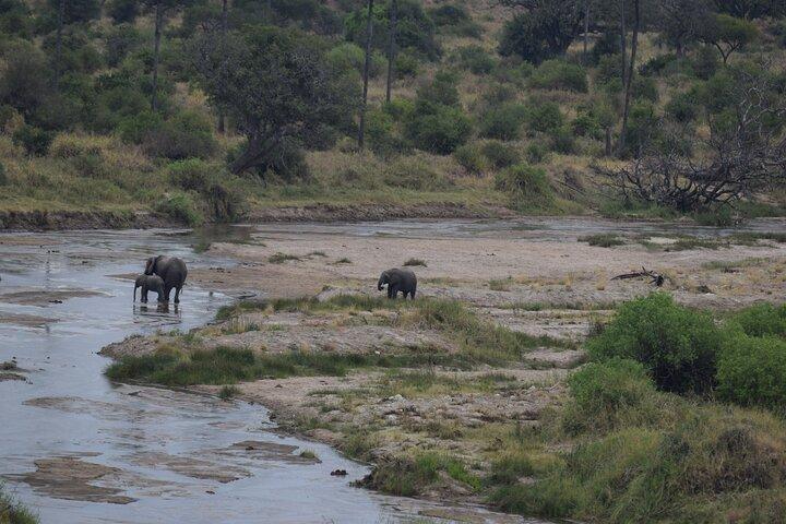 5 Days Safari Lodges & Culture