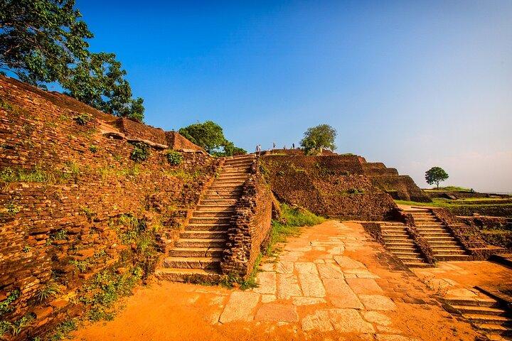 All-inclusive Sigiriya, Dambulla and Wildlife Safari from Colombo