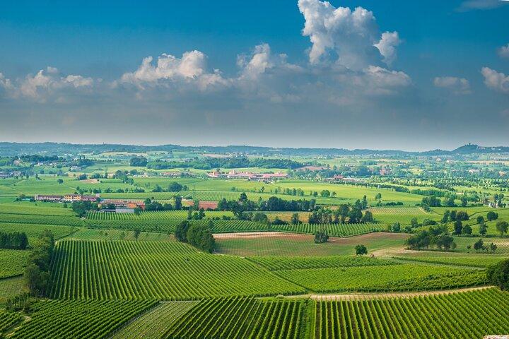 Frascati and Wine Tasting : private tour from Rome