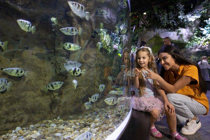 Dubai Aquarium and Underwater Zoo Entrance Ticket