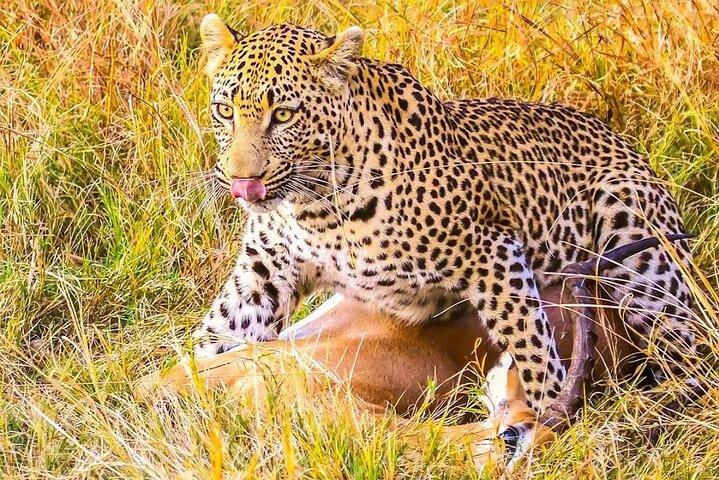 4 Days Serengeti, Ngorongoro and Tarangire Safari