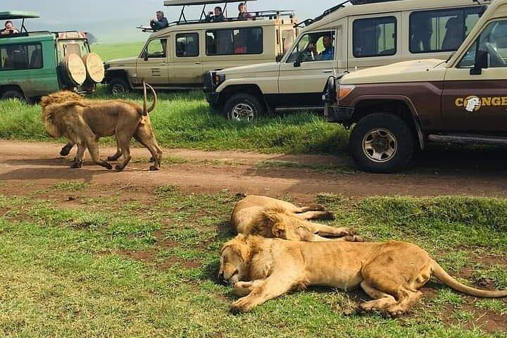 10 Days Wildebeest River Crossing Tour