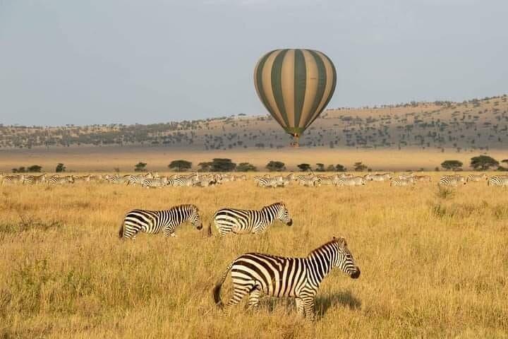 10 Days Wildebeest River Crossing Tour