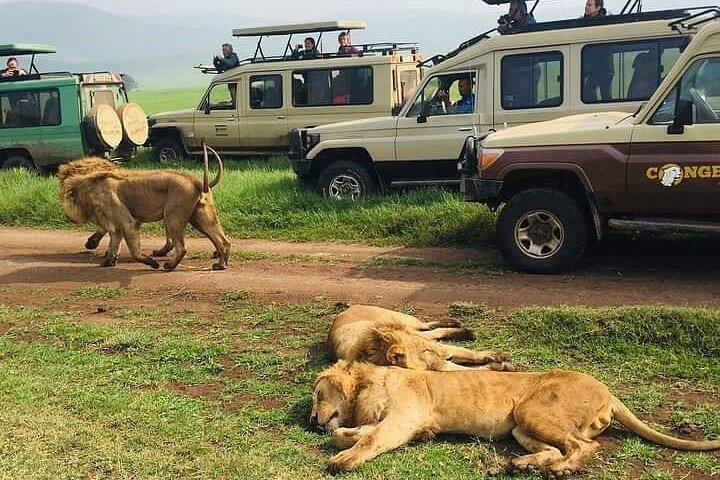 7 Days Private Safari in Tanzania