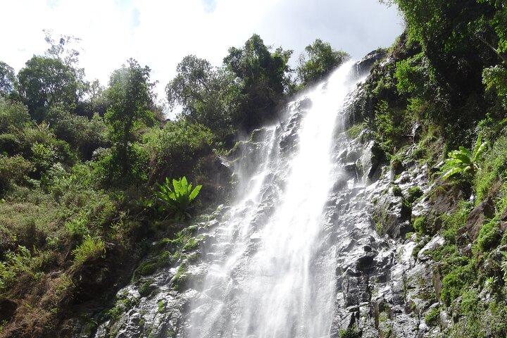 Arusha: Materuni Waterfall and Coffee Tour with Packed Lunch