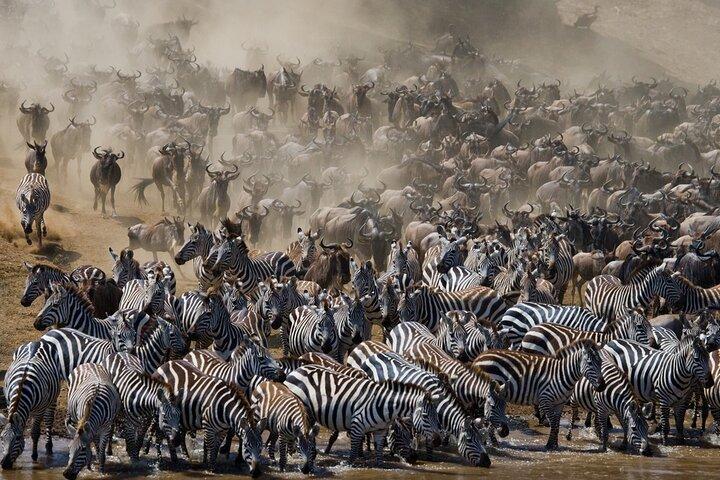 10 Days Wildebeest River Crossing Tour