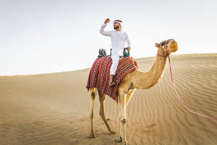 Private Desert Safari Tour in Dubai