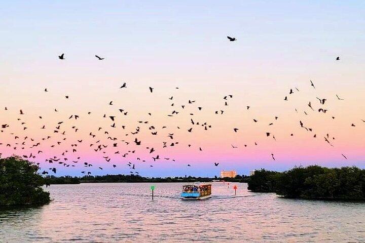 Cocoa Beach Sunset Tour