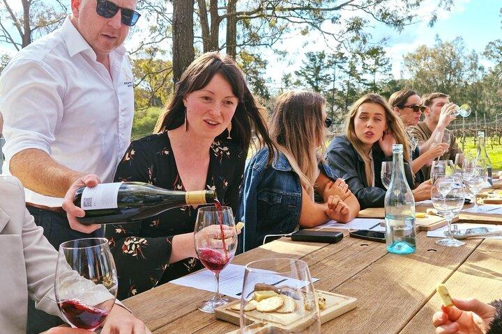 Wine & Cheese Tasting Experience in Hunter Valley