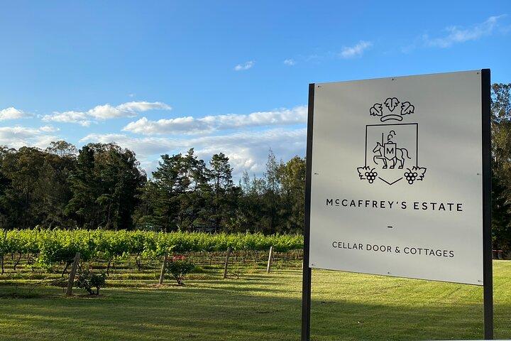 Wine & Cheese Tasting Experience in Hunter Valley