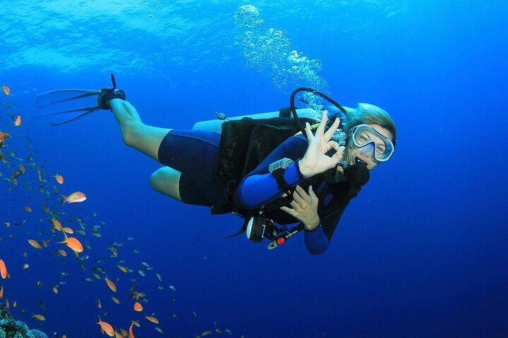 Scuba Diving Activity in Dubai with Hotel Pickup