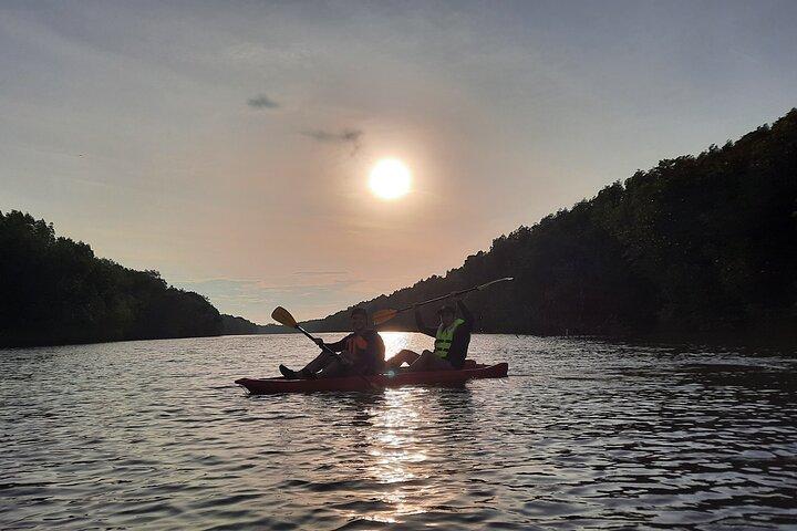 River Exploration and Mangrove Nature Tour by kayaking
