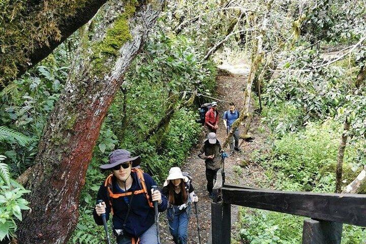 A Day Trip To Kilimanjaro Marangu Route