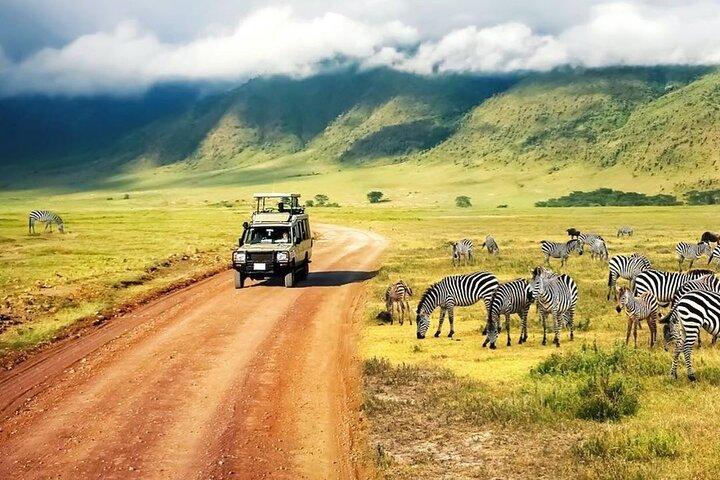 5 Days Mid-Range Lodge Safari To Lake Manyara , Serengeti & Ngorongoro.