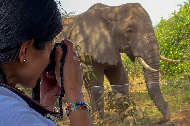 7 Days Mid-Range Lodge Safari To Lake Manyara, Serengeti, Ngorongoro & Tarangire