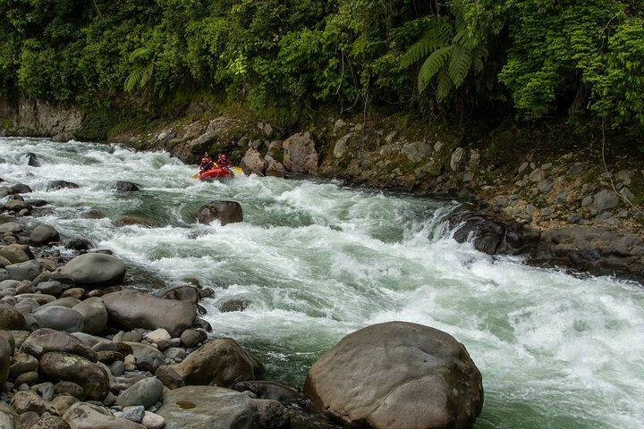White Water Rafting Sarapiqui River | Class II - III from San Jose
