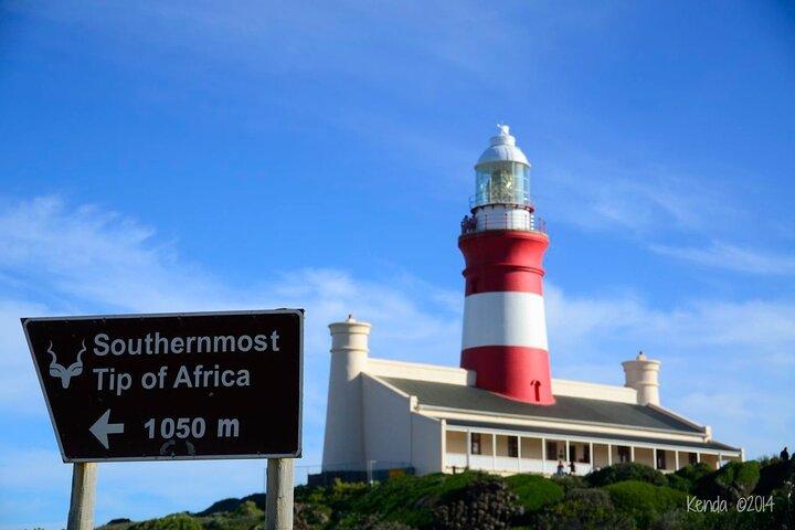 Cape Agulhas: Where Indian Meets Atlantic — Private Full-Day Tour