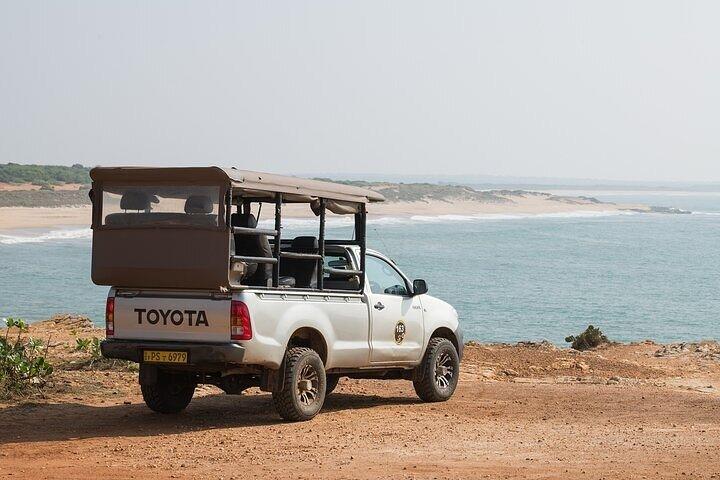 Private Tour: Udawalawe National Park Safari