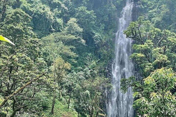 Materuni Waterfalls, Kikuletwa Chemka Hot springs, Coffee tour
