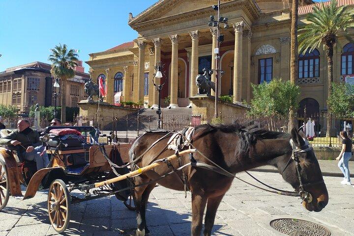Discover Palermo in 3 hours. Art, history, markets and street food