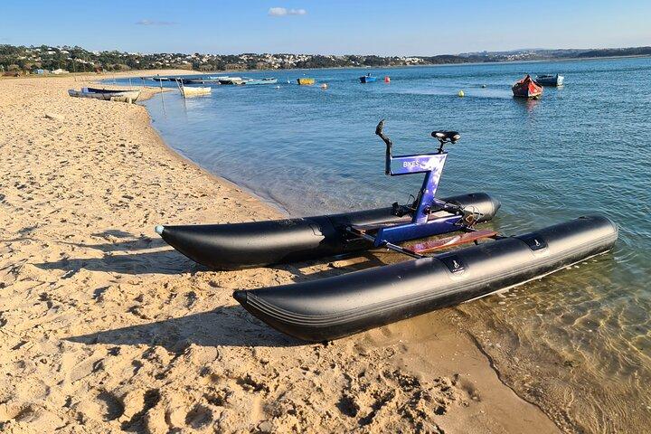 Guided Kayak Tours in the Óbidos lagoon