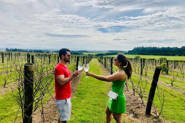 Discover why we Love the Colonia Wine Experience