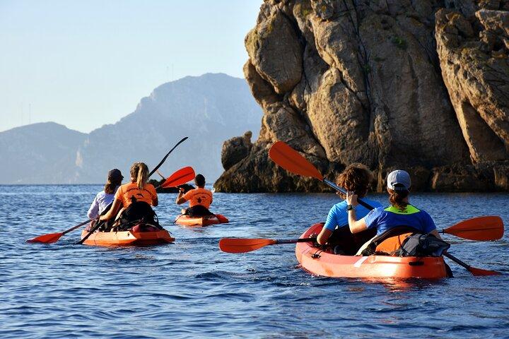 Kayak tour with aperitif and dolphins