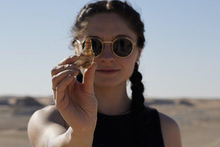 Guided Black and White Desert Adventure and Camping in Egypt