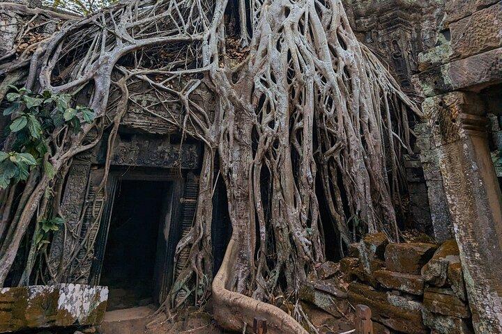Angkor Wat Private Tuk-Tuk Tour (sunrise Option) & more