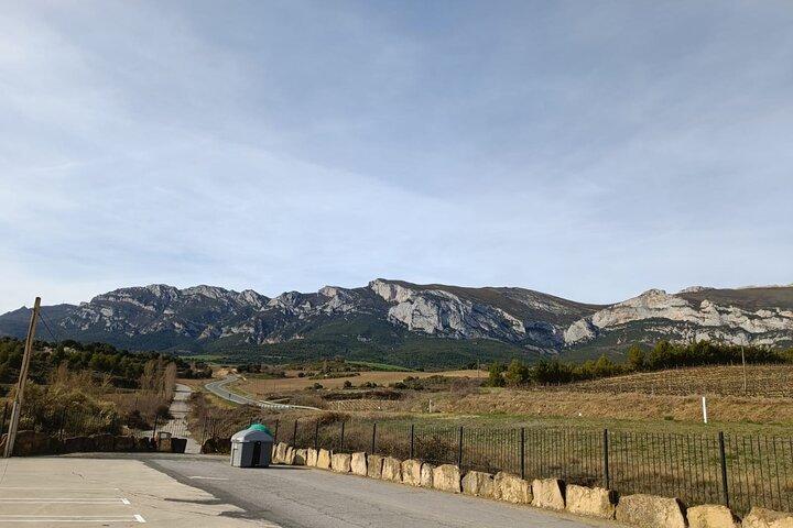 Full Rioja Wine Tour with Lunch – Private Tour from San Sebastian