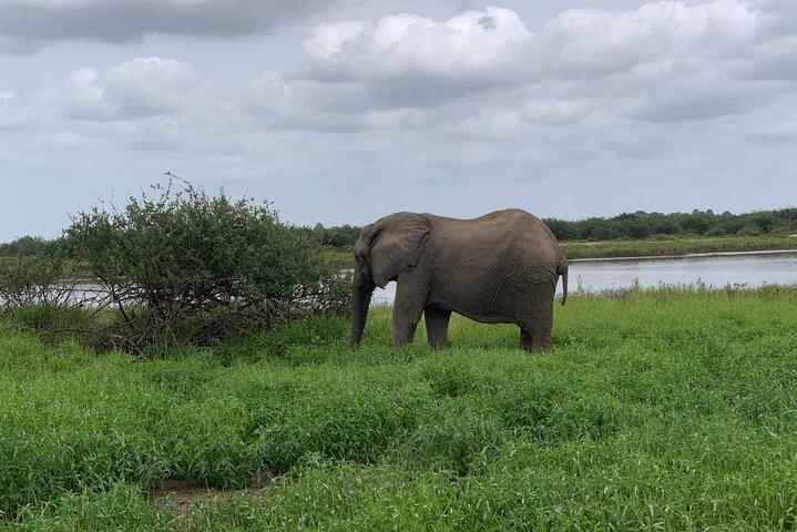 Flying safari from Zanzibar
