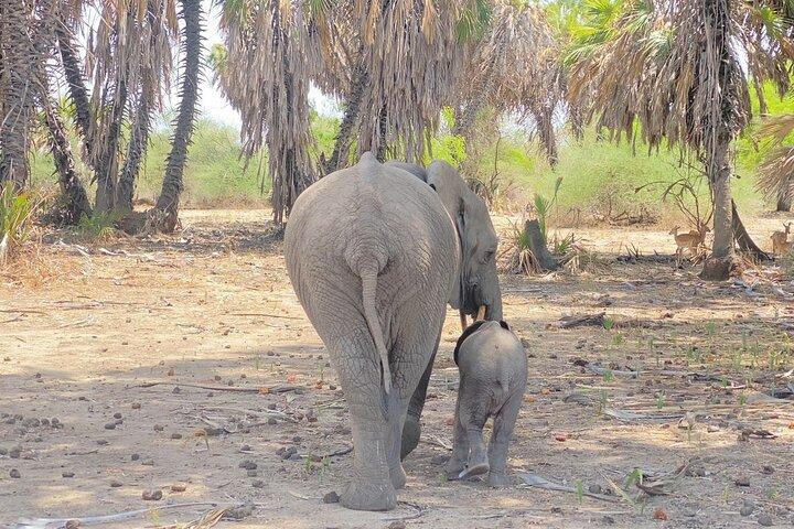 Flying safari from Zanzibar