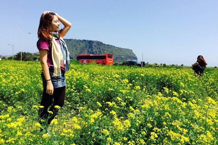 Jeju island Private Tour - UNESCO Day Tour & Haenyeo Performance