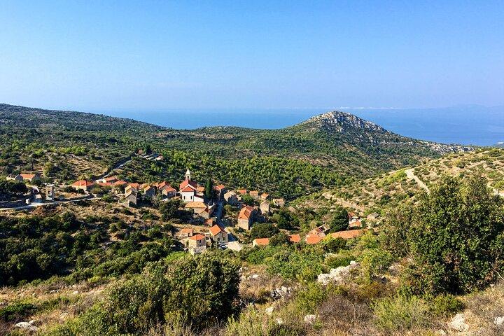 Hvar Lavender Tour