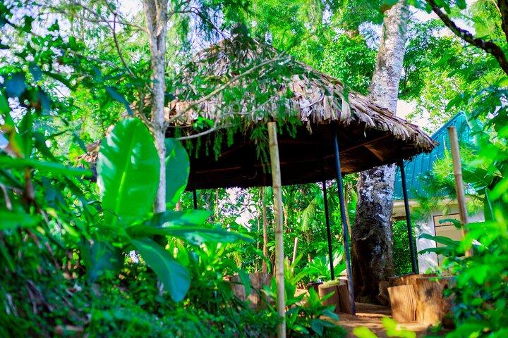 Materuni Waterfall and Kikuletwa Hot Spring Tour