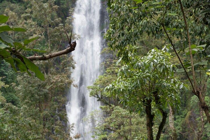 Materuni Waterfall and Kikuletwa Hot Spring Tour