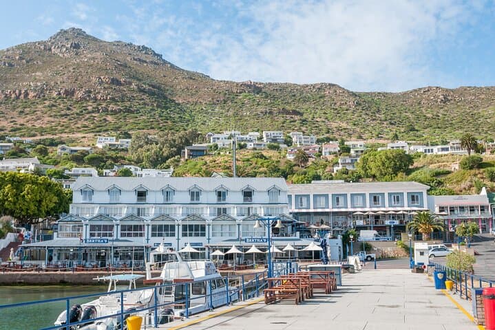 Cape Peninsula & Boulders Beach Day Trip from Cape Town